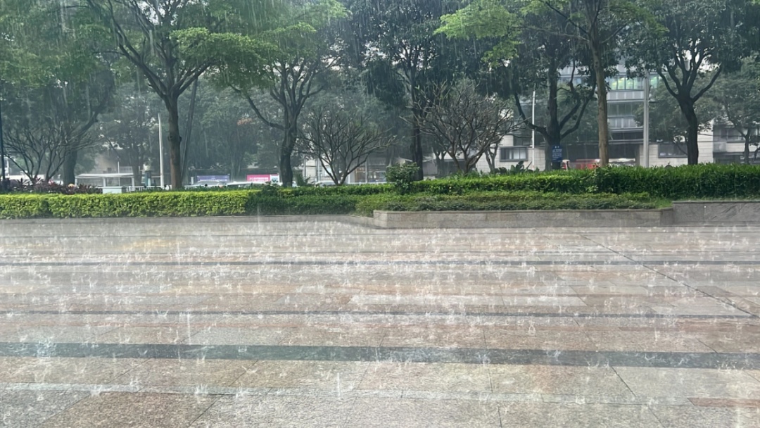 福建省内87条预警正在生效中！雷电+暴雨！快关窗......