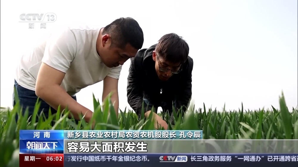 良种+良机+良法 各地加强小麦田管保丰收 良种+良机+良法 各地加强小麦田管保丰收