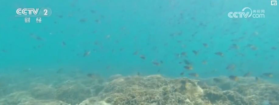 “五一”假期消费新场景丰富多彩 新兴目的地旅游市场不断“出圈” “五一”假期消费新场景丰富多彩 新兴目的地旅游市场不断“出圈”