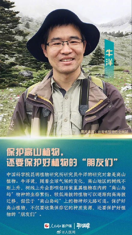 致敬!为了绿水青山他们有多拼 致敬!为了绿水青山他们有多拼