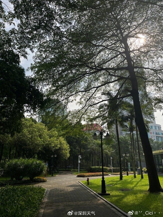 今早出太阳了！深圳还会出现强降雨吗→