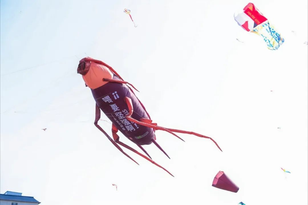 一根线,让港珠澳大桥“上天”了 一根线,让港珠澳大桥“上天”了