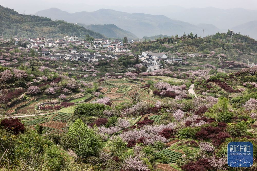 余姚鹿亭：特色生态产业助富百姓