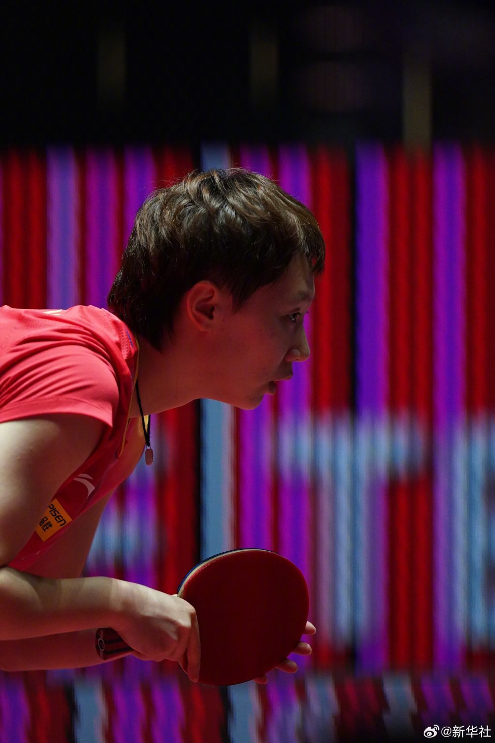 祝贺！孙颖莎澳门世界杯夺冠