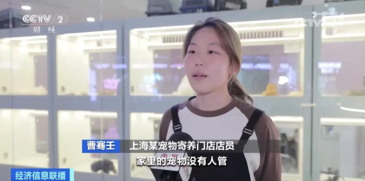 宠物“萌”生大市场 假期预订火爆 “一柜难求”