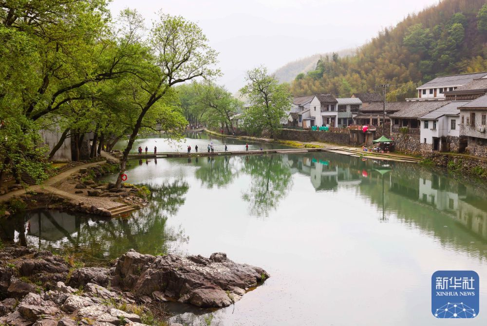 余姚鹿亭：特色生态产业助富百姓