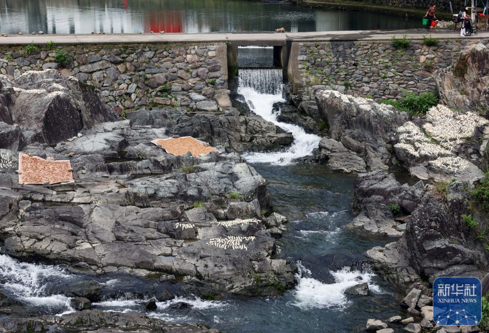 余姚鹿亭：特色生态产业助富百姓