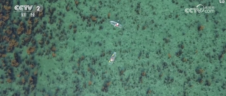 “五一”假期消费新场景丰富多彩 新兴目的地旅游市场不断“出圈” “五一”假期消费新场景丰富多彩 新兴目的地旅游市场不断“出圈”