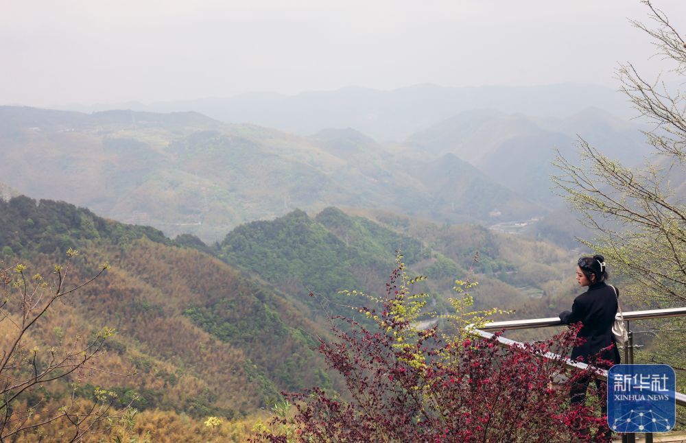 余姚鹿亭：特色生态产业助富百姓