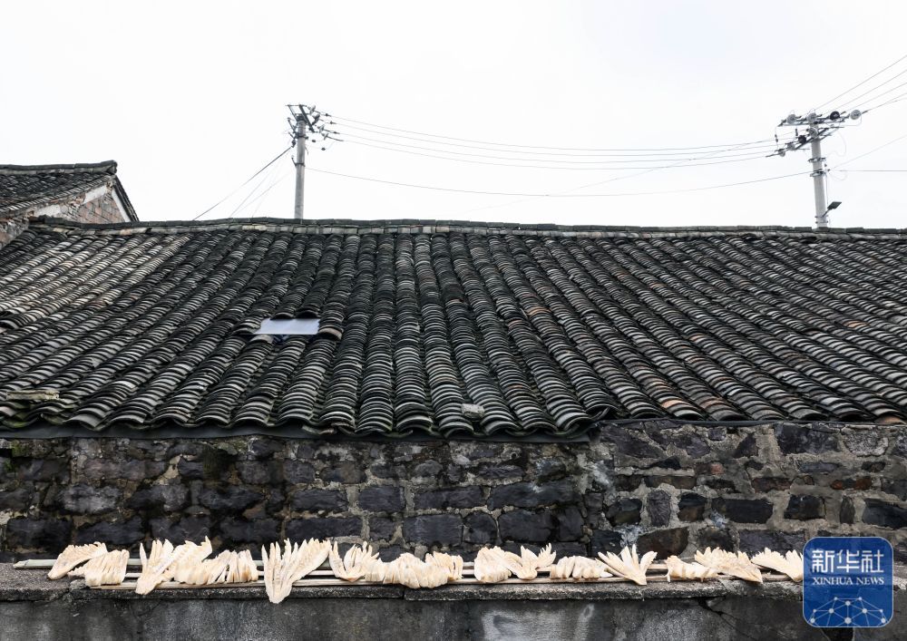 余姚鹿亭：特色生态产业助富百姓