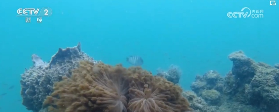 “五一”假期消费新场景丰富多彩 新兴目的地旅游市场不断“出圈” “五一”假期消费新场景丰富多彩 新兴目的地旅游市场不断“出圈”