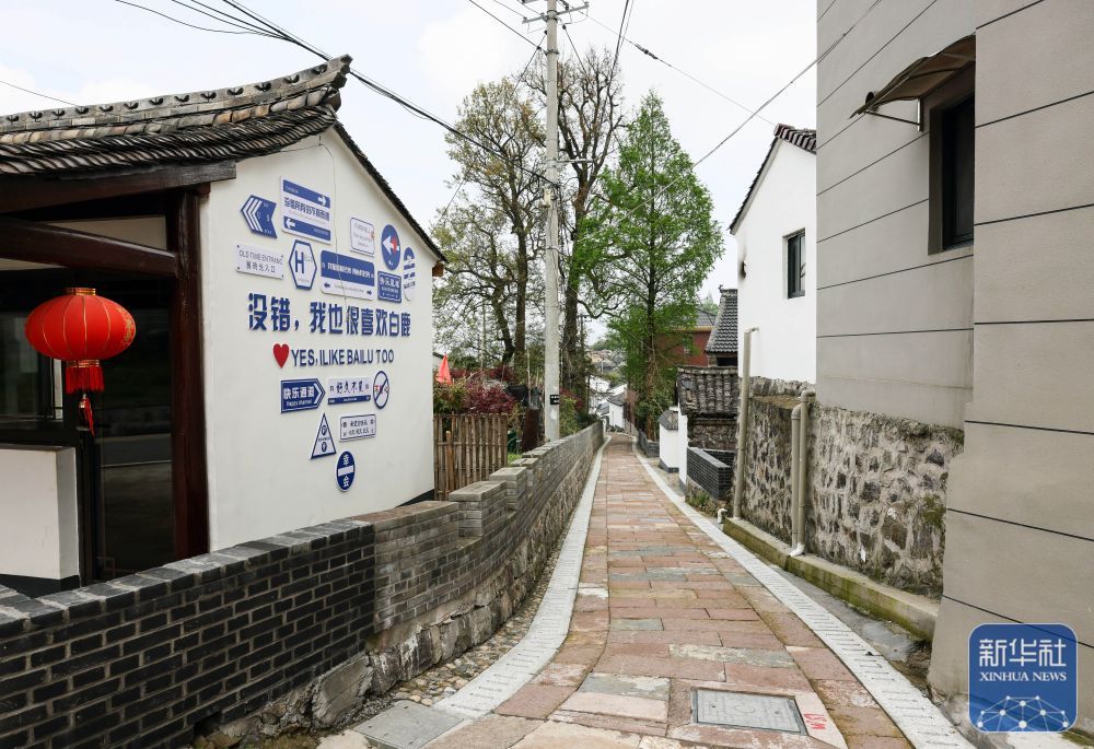 余姚鹿亭：特色生态产业助富百姓