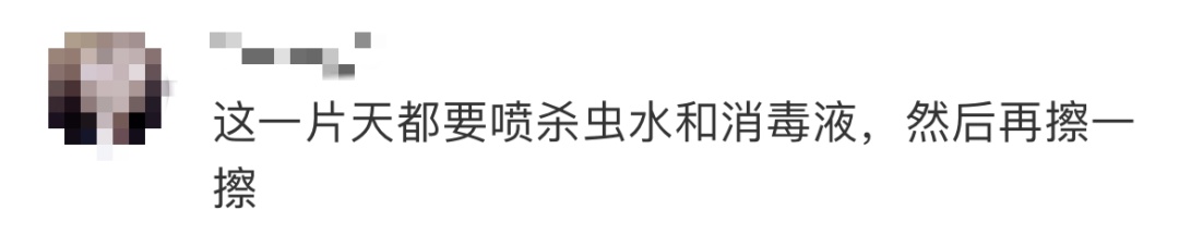 一根线,让港珠澳大桥“上天”了 一根线,让港珠澳大桥“上天”了