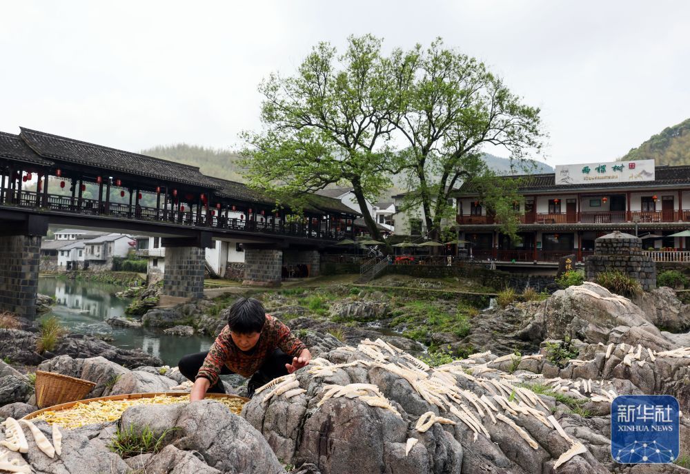 余姚鹿亭：特色生态产业助富百姓