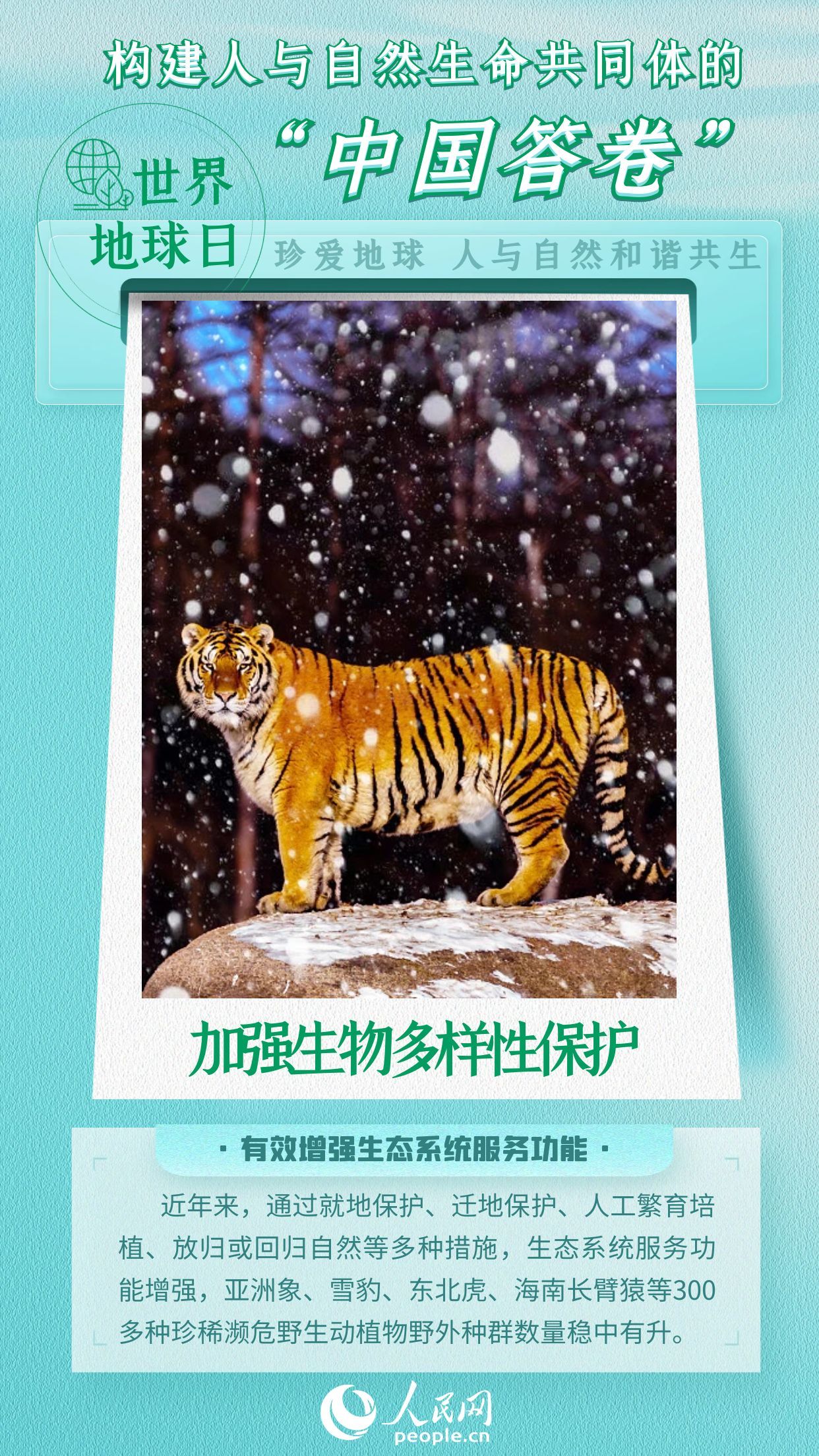 世界地球日 | 构建人与自然生命共同体的中国答卷 世界地球日 | 构建人与自然生命共同体的中国答卷
