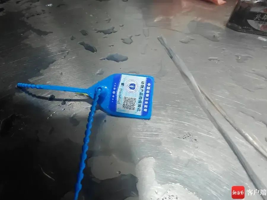 白羊用墨水染成“黑山羊”！海口市场监管部门已介入