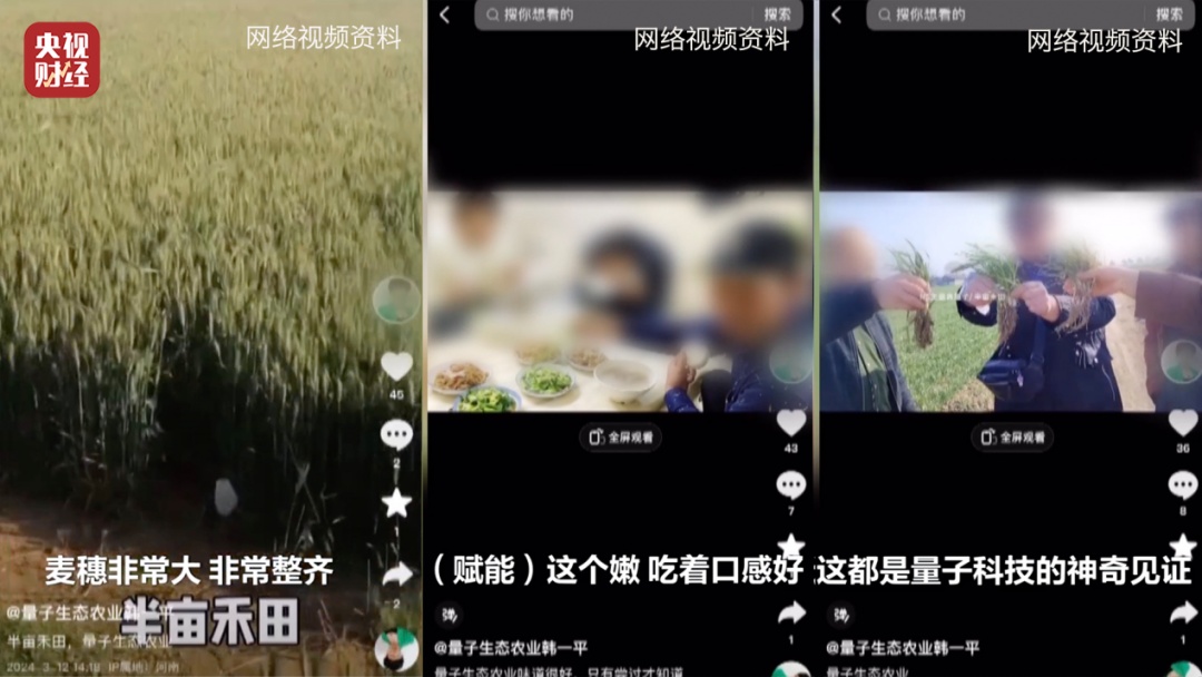用“量子科技”种地，赋能的种子长得又快又好？