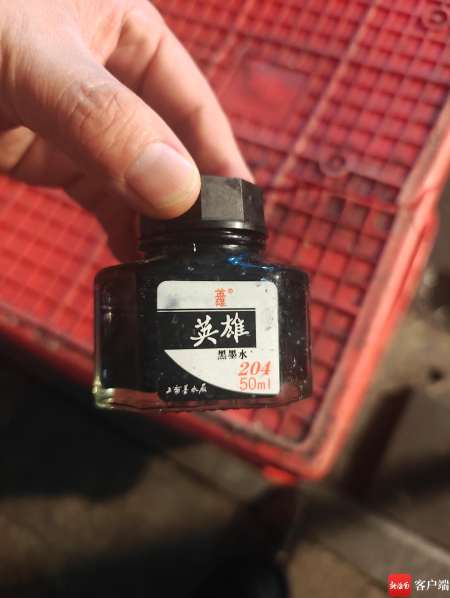 白羊用墨水染成“黑山羊”！海口市场监管部门已介入