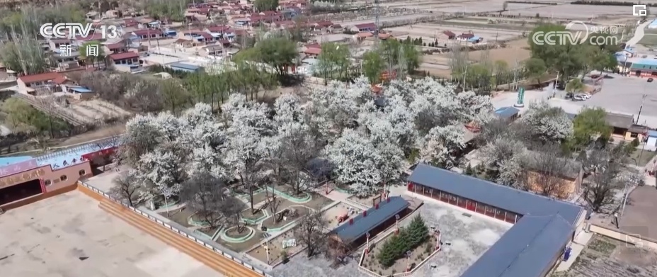 乡村变景点、农院变民宿 乡村休闲旅游助推乡村振兴 乡村变景点、农院变民宿 乡村休闲旅游助推乡村振兴