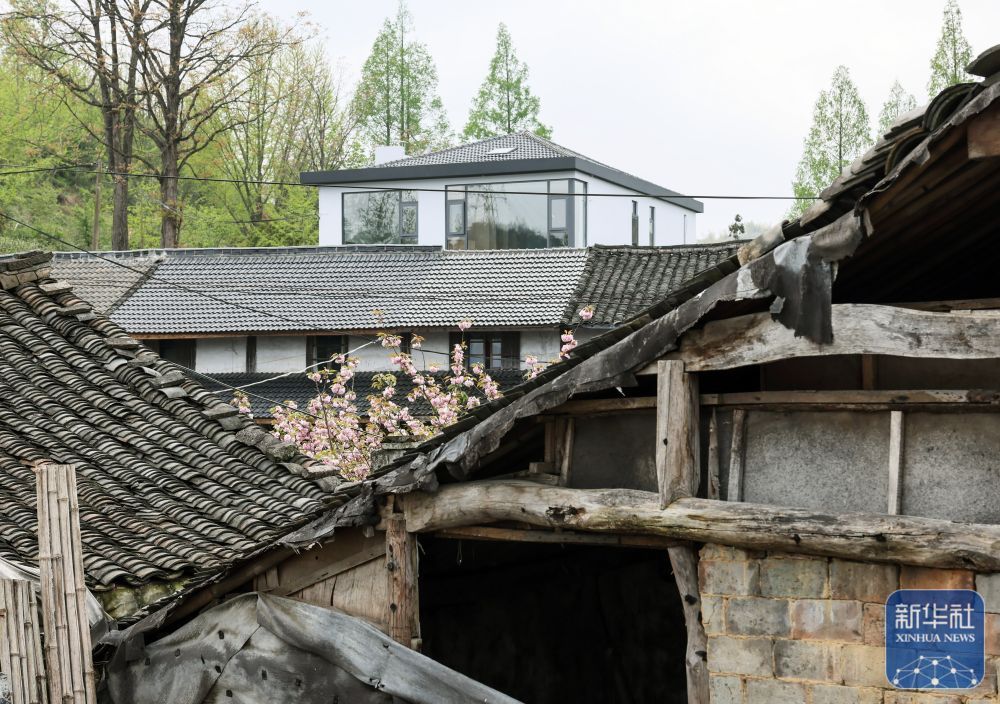 余姚鹿亭：特色生态产业助富百姓