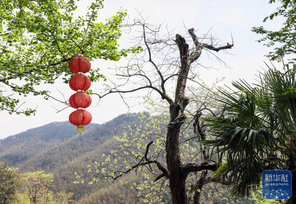 余姚鹿亭：特色生态产业助富百姓