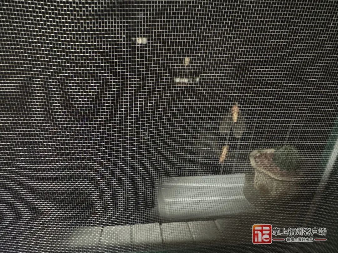 关窗!关窗!又出现了,头皮发麻,厦门人注意…… 关窗!关窗!又出现了,头皮发麻,厦门人注意……