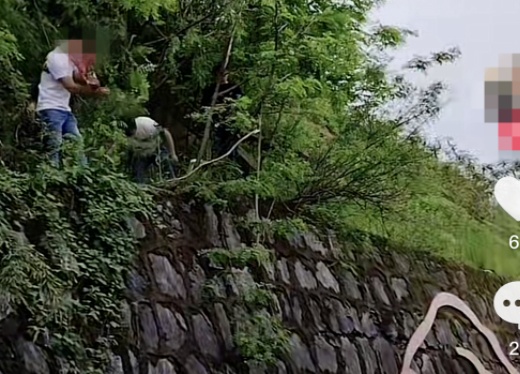 正大量出现！很多人到处在找……