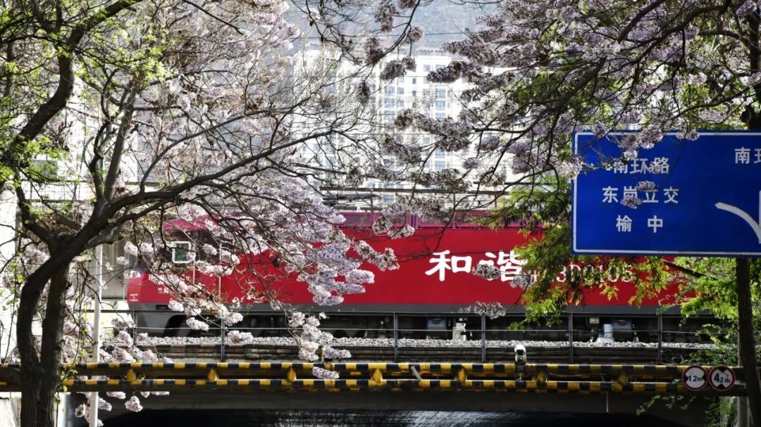 开满花的西北铁路线，超惊艳！丨图说铁路