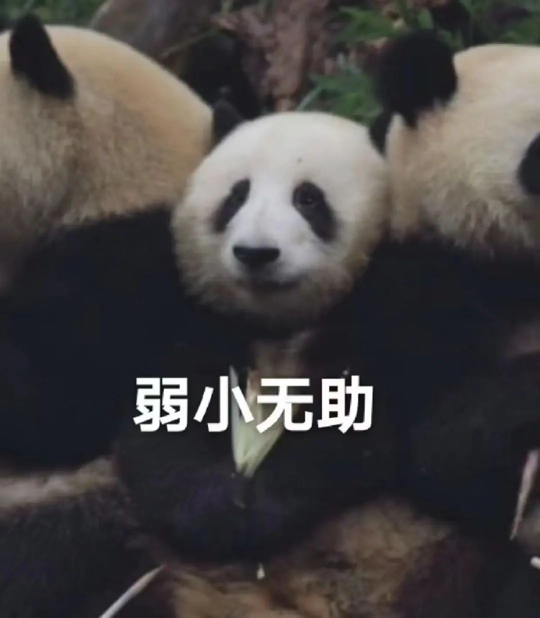 女生病后给学校写信！没想到，食堂直接给她新开一个窗口→