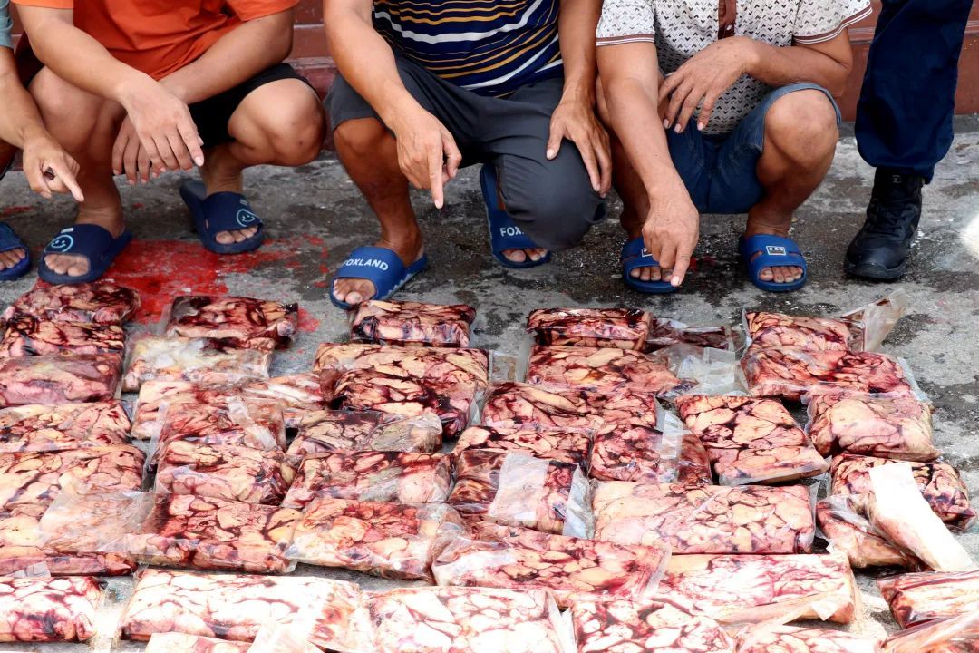 抓获24人！案值3000余万元！涉及砗磲肉、海龙、鲨鱼翅......