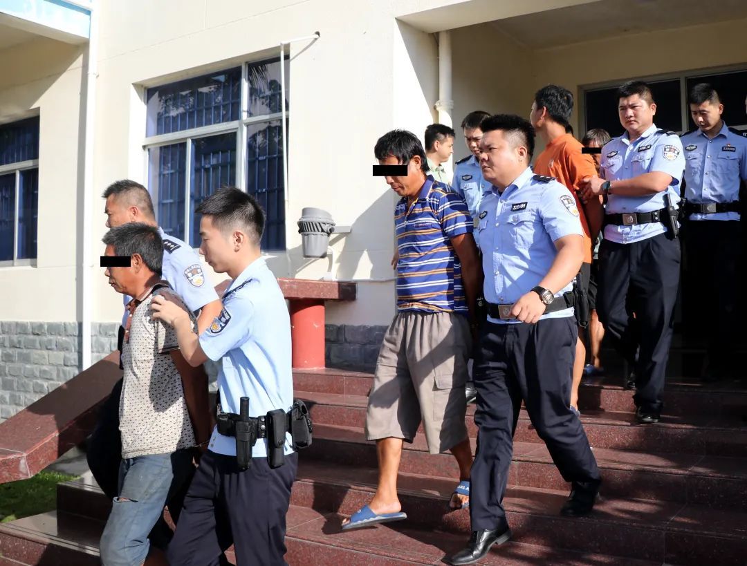 案值3000余万元!涉及砗磲肉、海龙、鲨鱼翅......海南破获一起特大走私案 案值3000余万元!涉及砗磲肉、海龙、鲨鱼翅......海南破获一起特大走私案