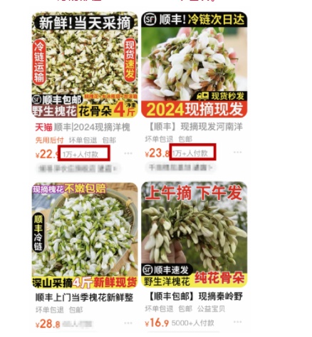 正大量出现！很多人到处在找……