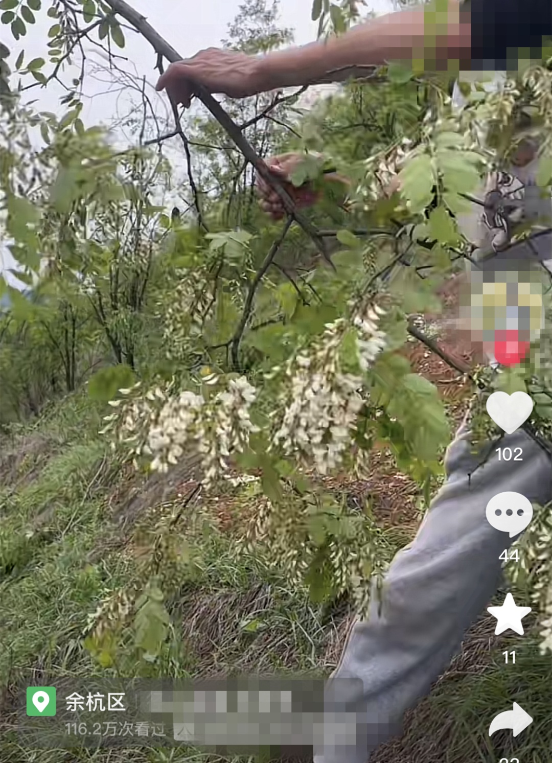 正大量出现！很多人到处在找……