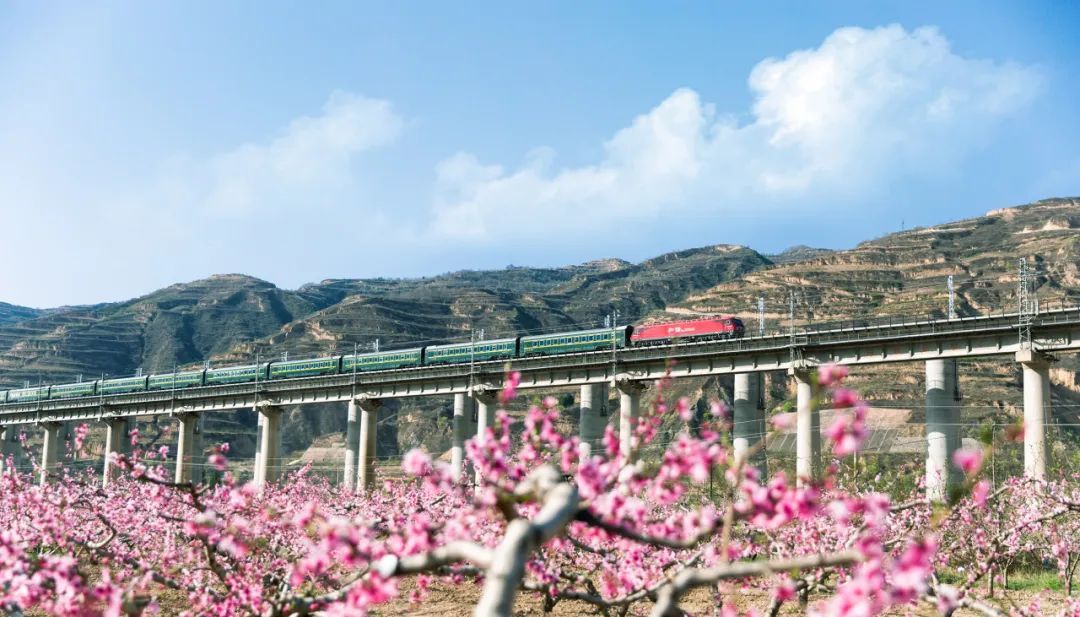 开满花的西北铁路线，超惊艳！丨图说铁路