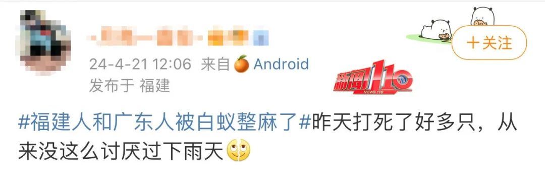 注意！福州已经开始成群出现！应急措施是……