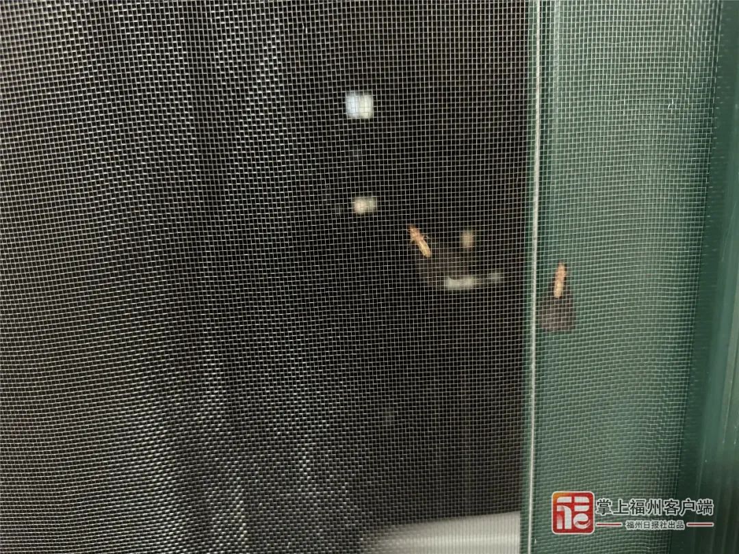 关窗!关窗!又出现了,头皮发麻,厦门人注意…… 关窗!关窗!又出现了,头皮发麻,厦门人注意……