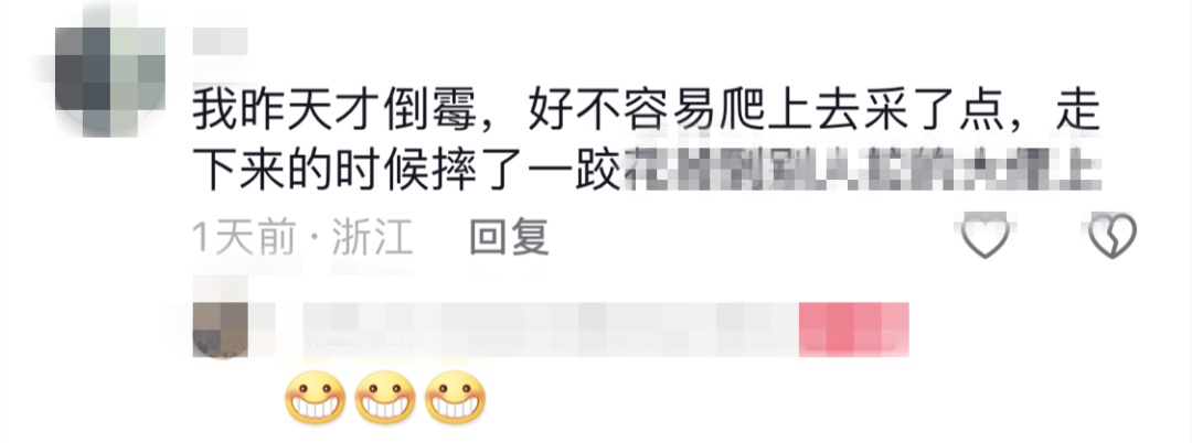 正大量出现！很多人到处在找……