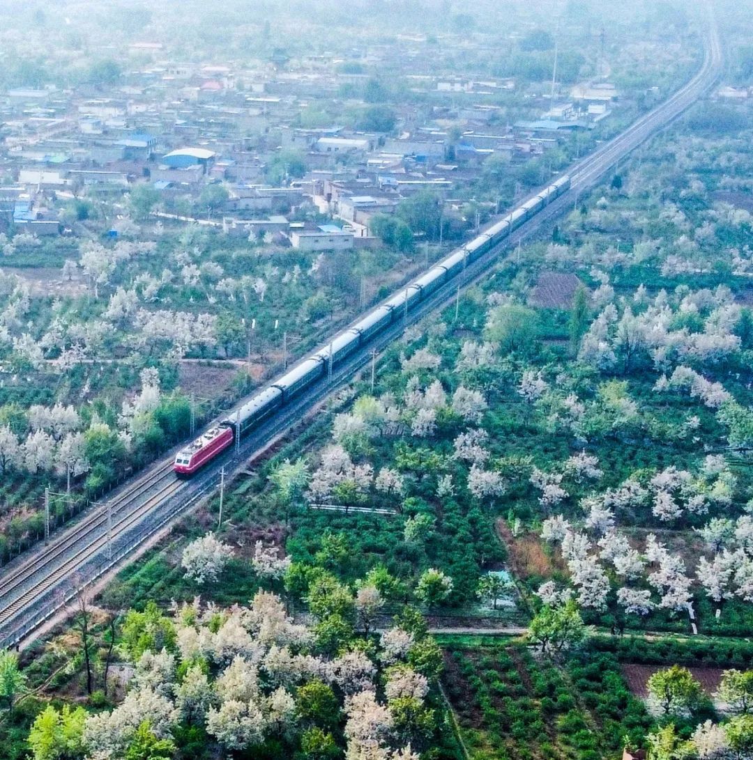 开满花的西北铁路线，超惊艳！丨图说铁路