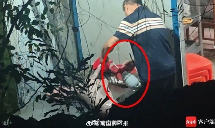 商家疑用黑墨水喷白羊伪装成黑羊，海口市监局：已对涉案商户立案调查