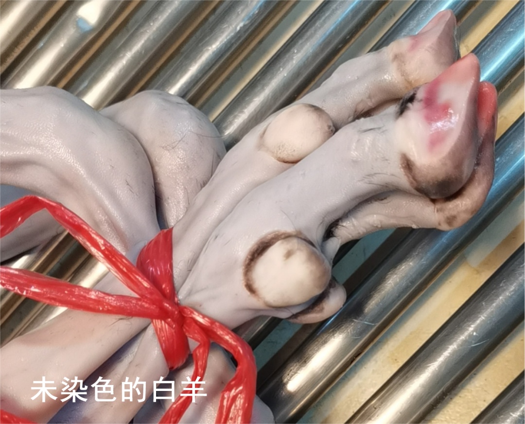 海口出现漂染白羊冒充黑羊!举报渠道→ 海口出现漂染白羊冒充黑羊!举报渠道→