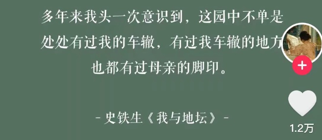 史铁生也有“潦草小狗”头像！“互联网嘴替”上热搜……