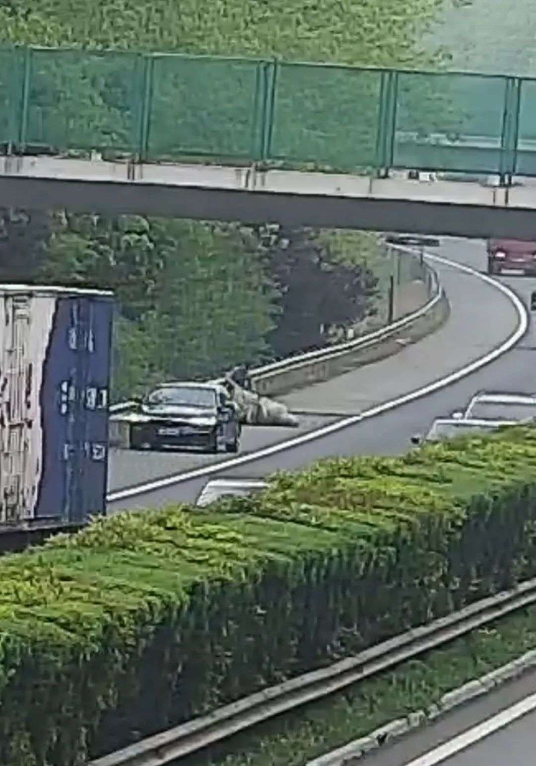 事发京台高速，谢谢你耿师傅