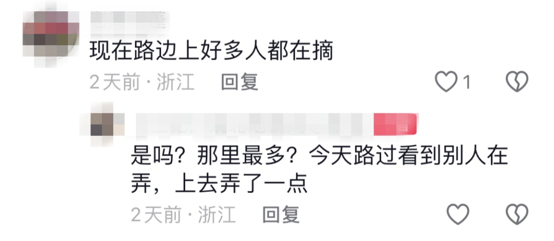 正大量出现！很多人到处在找……