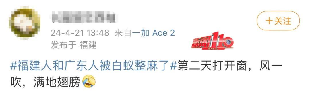 注意！福州已经开始成群出现！应急措施是……