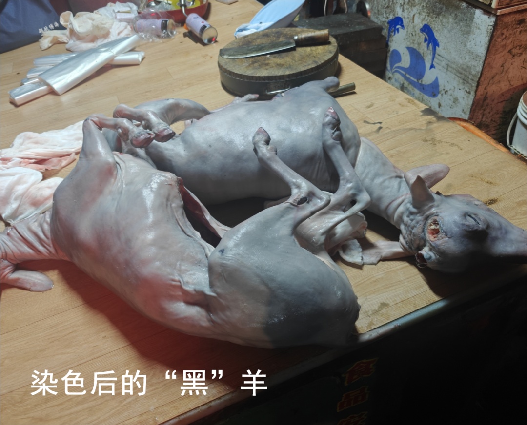 海口出现漂染白羊冒充黑羊!举报渠道→ 海口出现漂染白羊冒充黑羊!举报渠道→