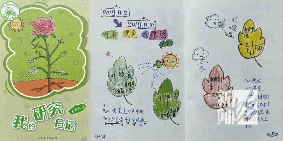 冲上热搜!这件事,很多人输给了上海小学生→ 冲上热搜!这件事,很多人输给了上海小学生→
