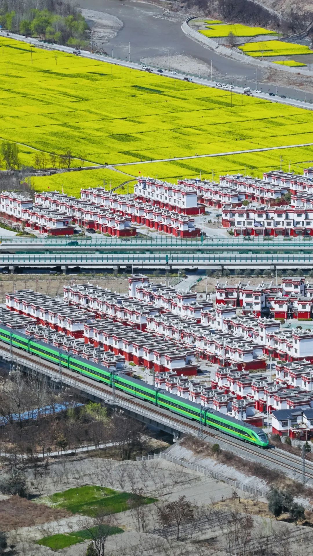 开满花的西北铁路线，超惊艳！丨图说铁路