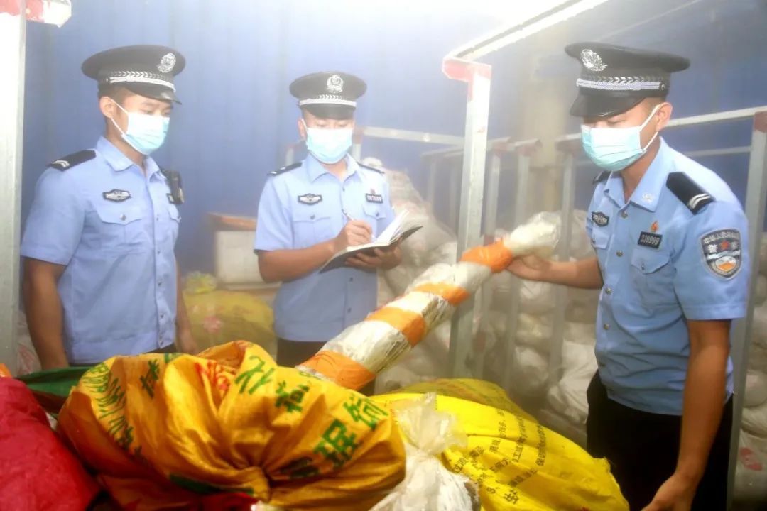 抓获24人！案值3000余万元！涉及砗磲肉、海龙、鲨鱼翅......