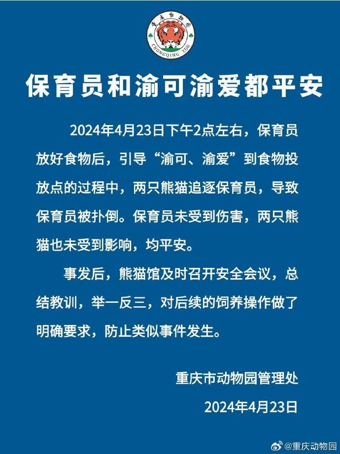 大熊猫扑倒保育员，重庆动物园：人和熊猫都平安