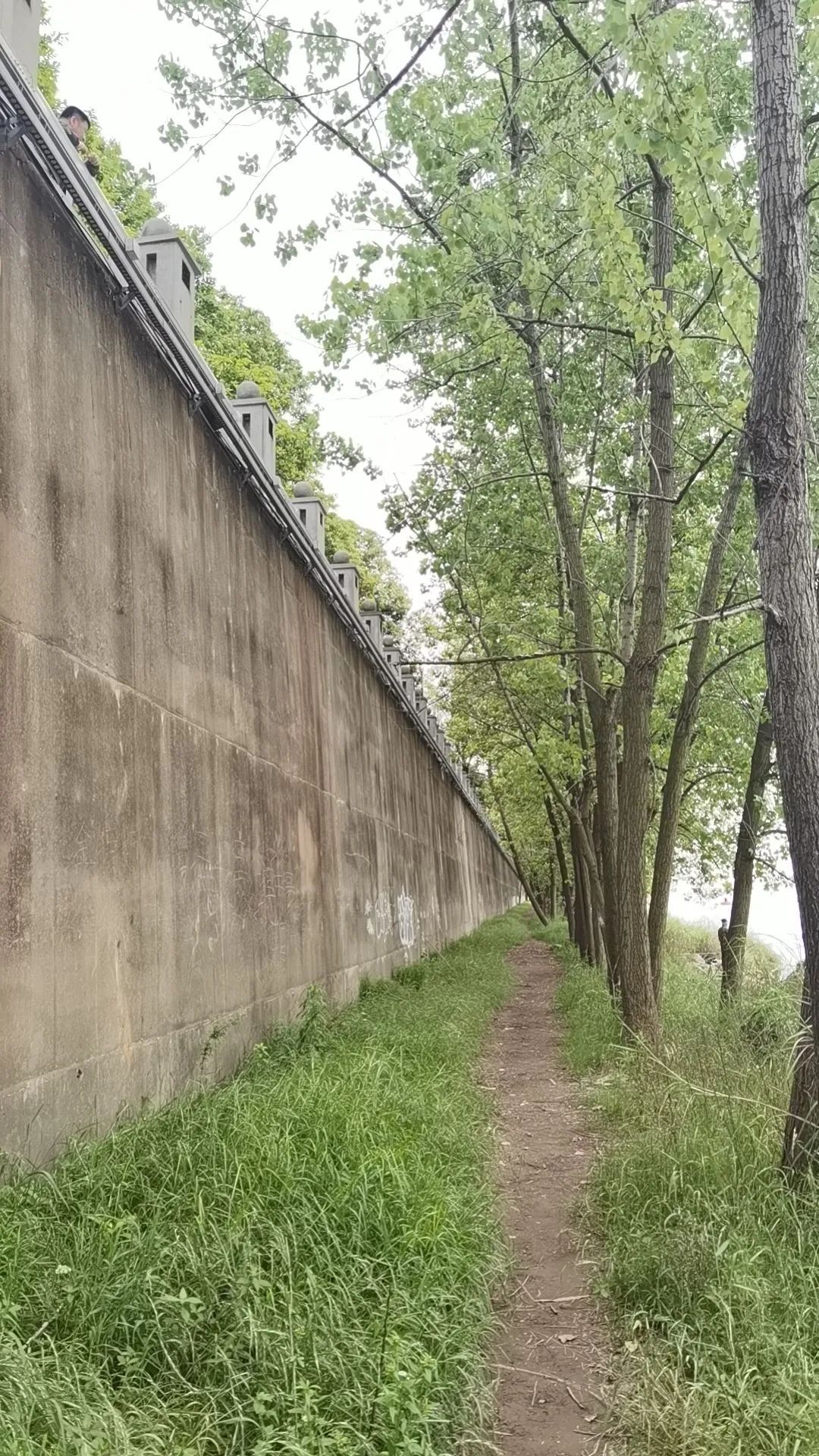 男子翻下六米高江堤跳入湘江，紧紧抓住了她